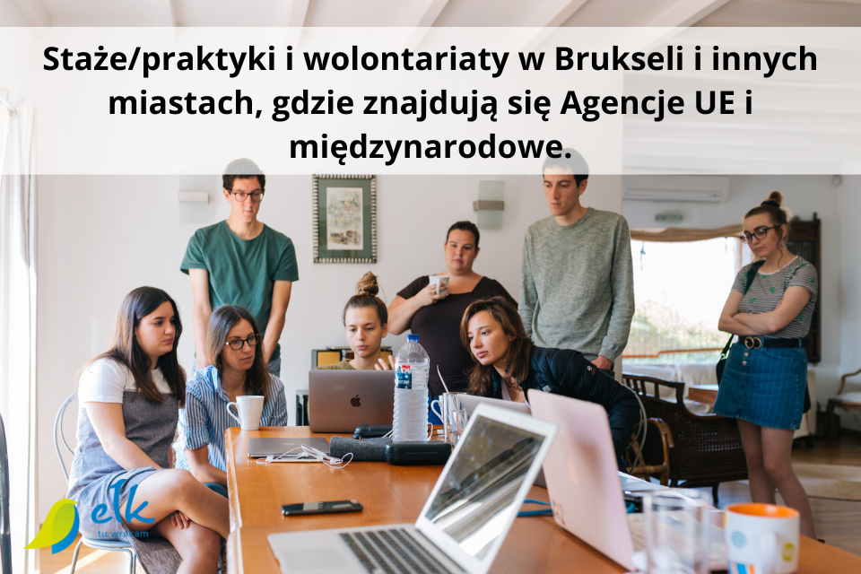 Stažuotės ir (arba) stažuotės ir savanoriška veikla Briuselyje ir kituose miestuose, kuriuose įsikūrusios ES ir tarptautinės agentūros.