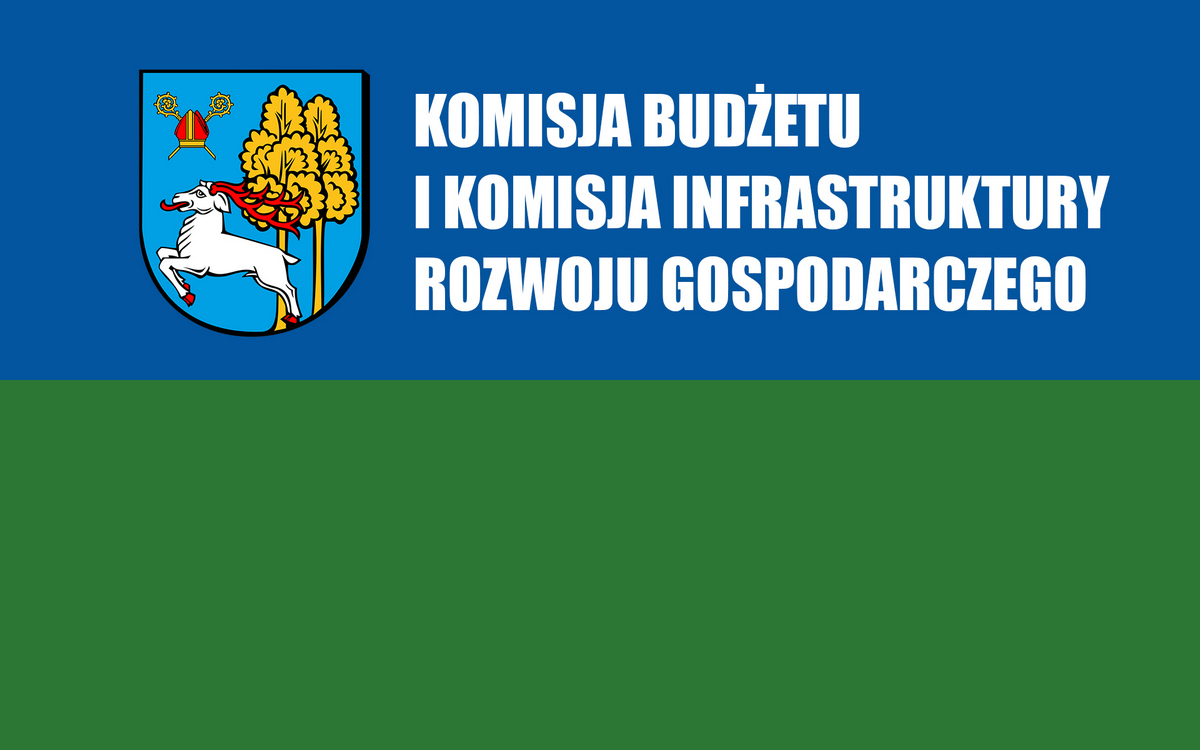 Posiedzenie Komisji Budżetu oraz Komisji Infrastruktury i Rozwoju Gospodarczego