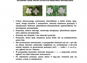 Zdjęcie: 1