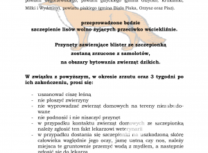 Zdjęcie: 0