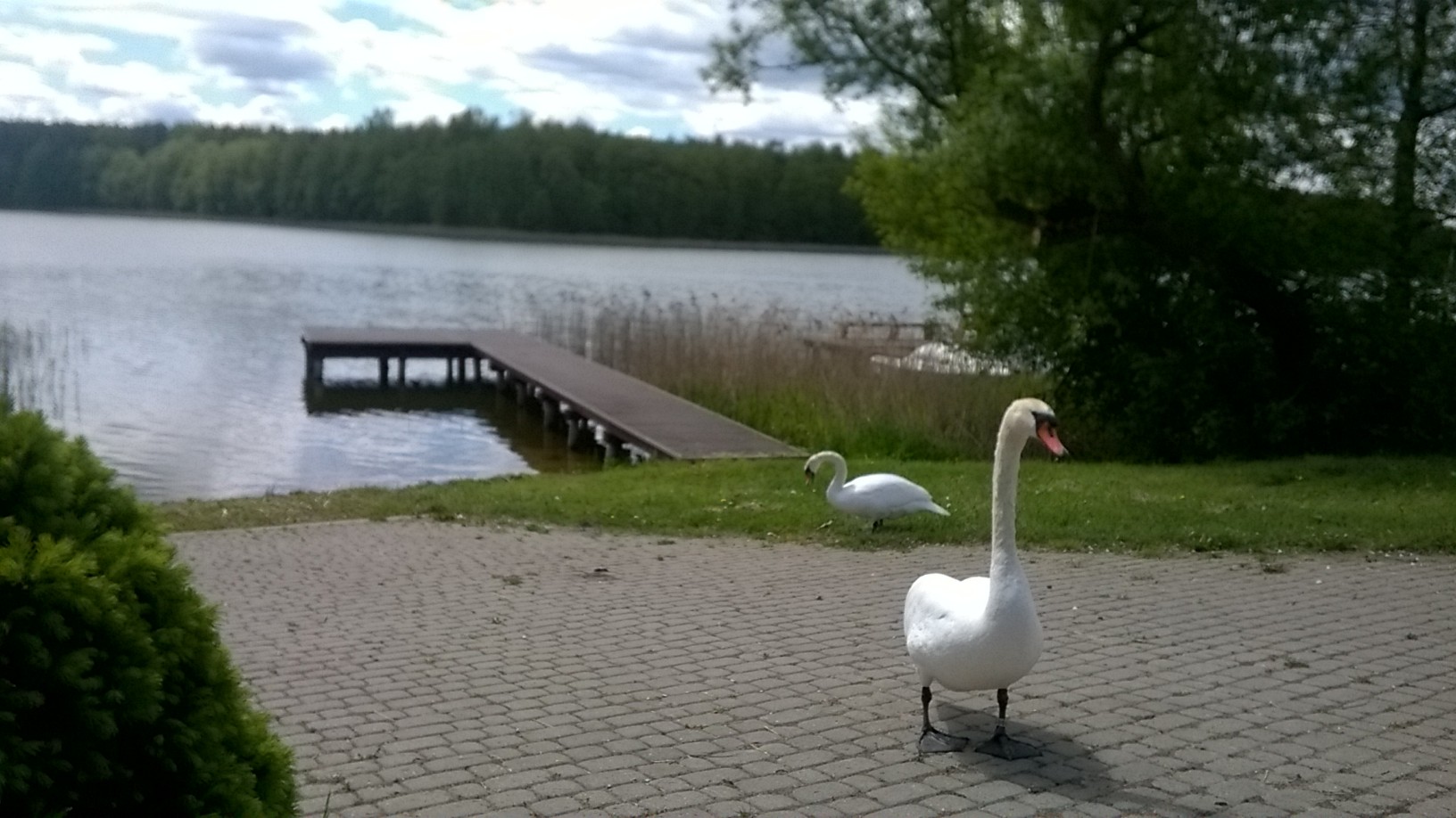 Zdjęcie: 19