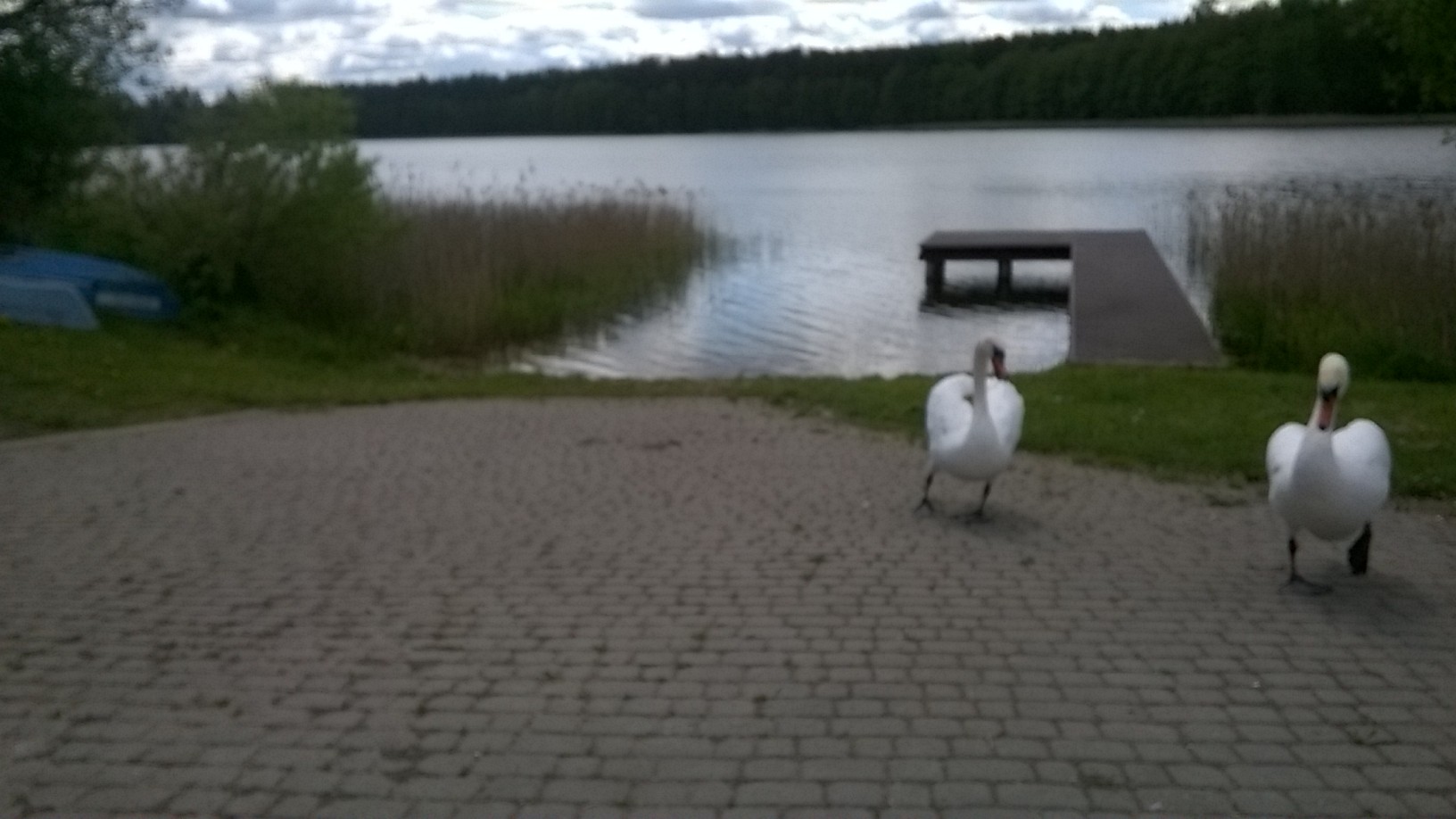 Zdjęcie: 17