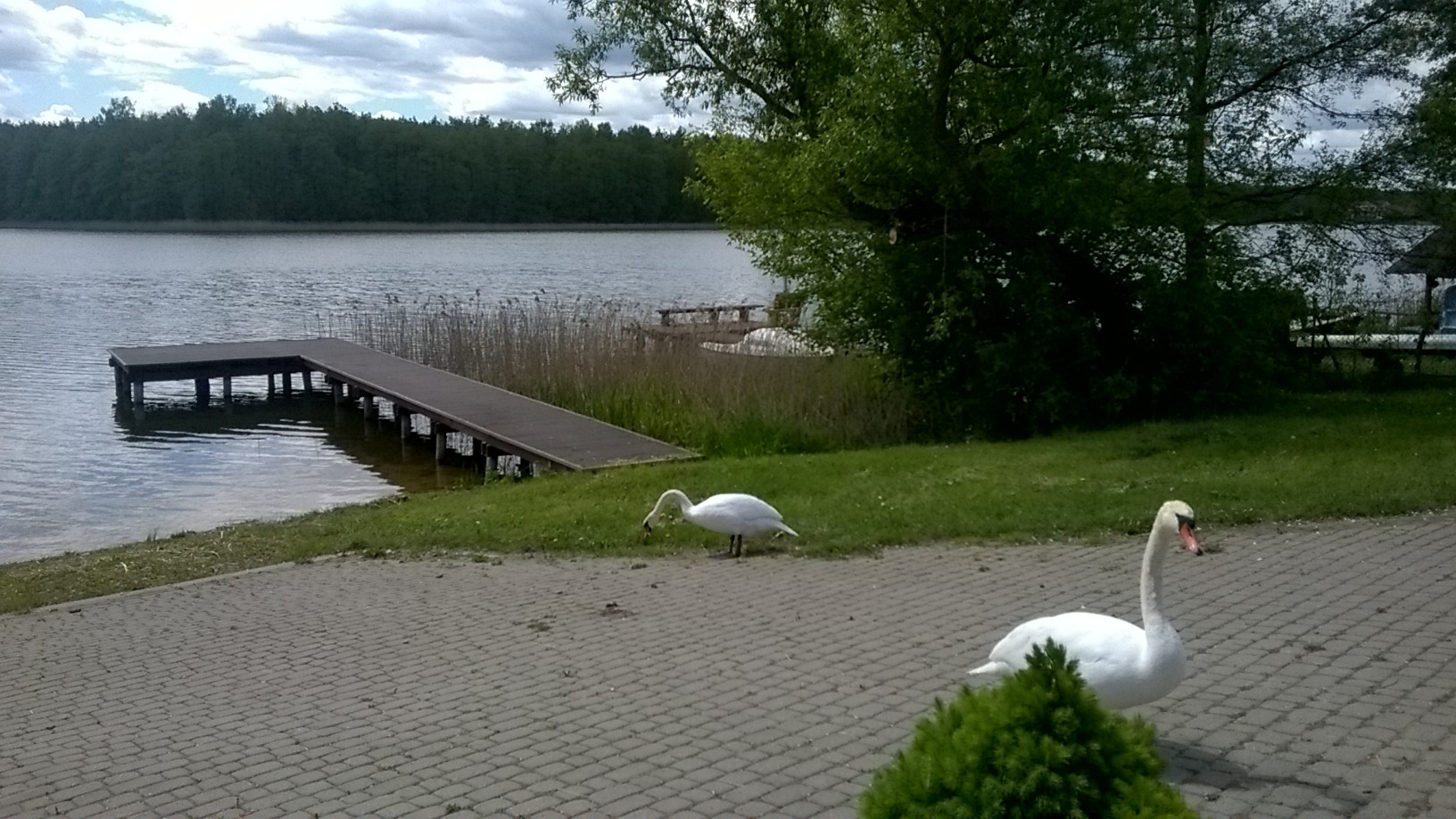 Zdjęcie: 18
