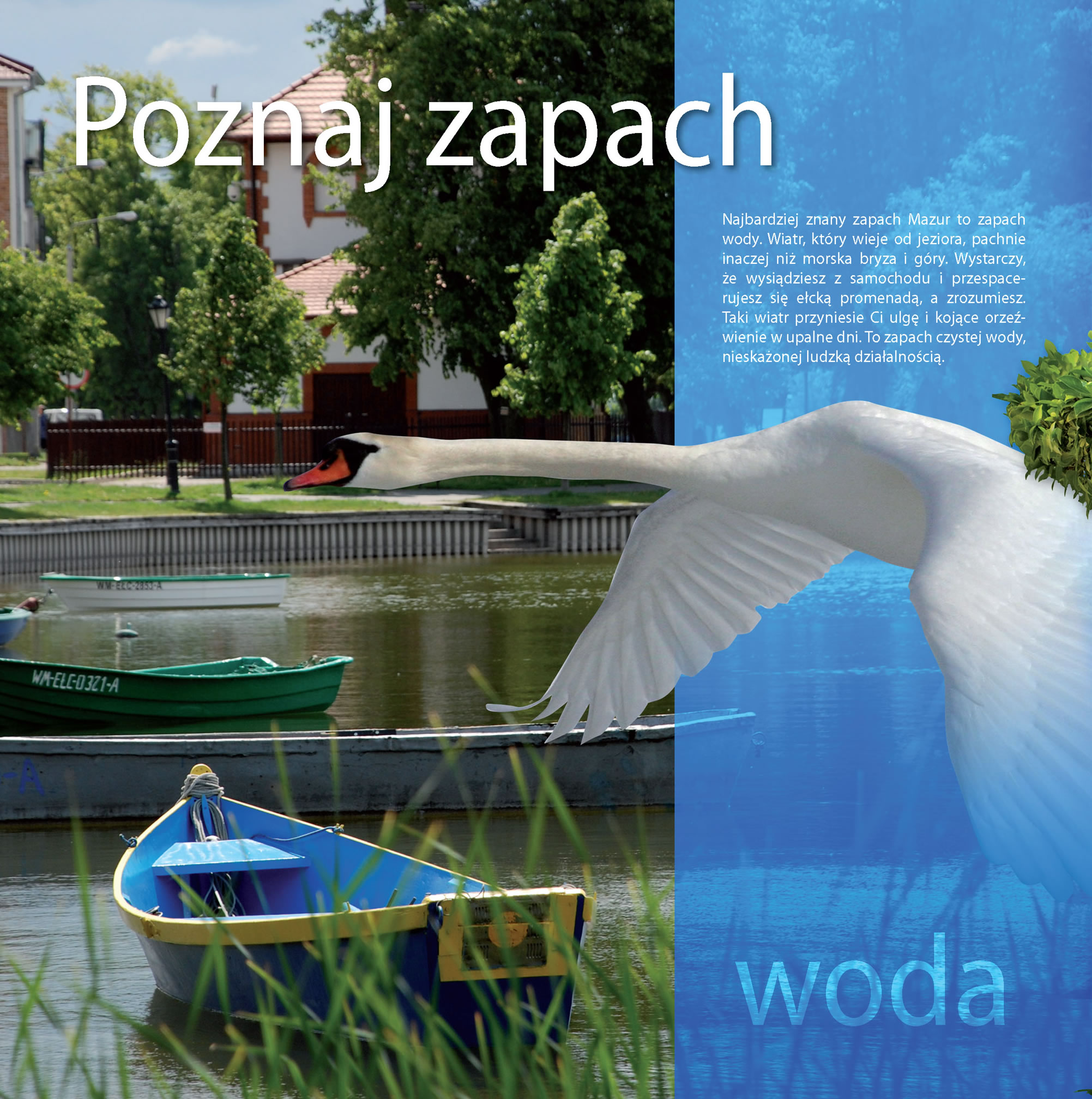 Zdjęcie: 21