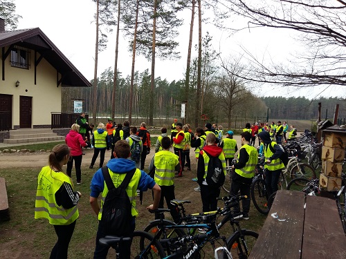 Zdjęcie: 2