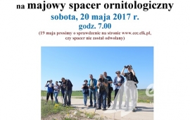 Majowy spacer ornitologiczny