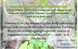 Spacer zielarski - zioła na chłody i upały
