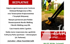 Nordic Walking - Twoja broń w walce o zdrowie i sprawność