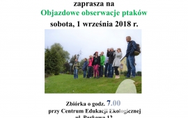 Objazdowe obserwacje ptaków
