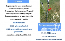 Nordic Walking - Rekreacja w zgodzie z naturą