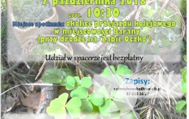 Spacer zielarski - Jadalne owoce jesieni cz.III