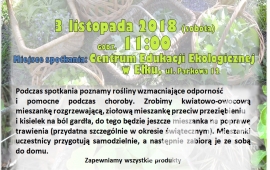 Warsztaty zielarskie - Rośliny wzmacniające odporność