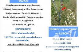 Nordic Walking - Rekreacja w zgodzie z naturą