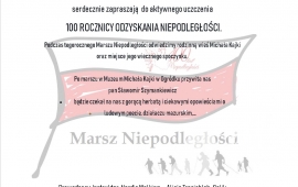 IV Marsz Niepodległości