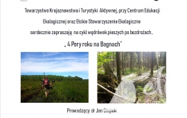 Jesień na Bagnach Biebrzańskich