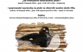 Prezentacja pt."Jak efektywnie obserwować ptaki?"