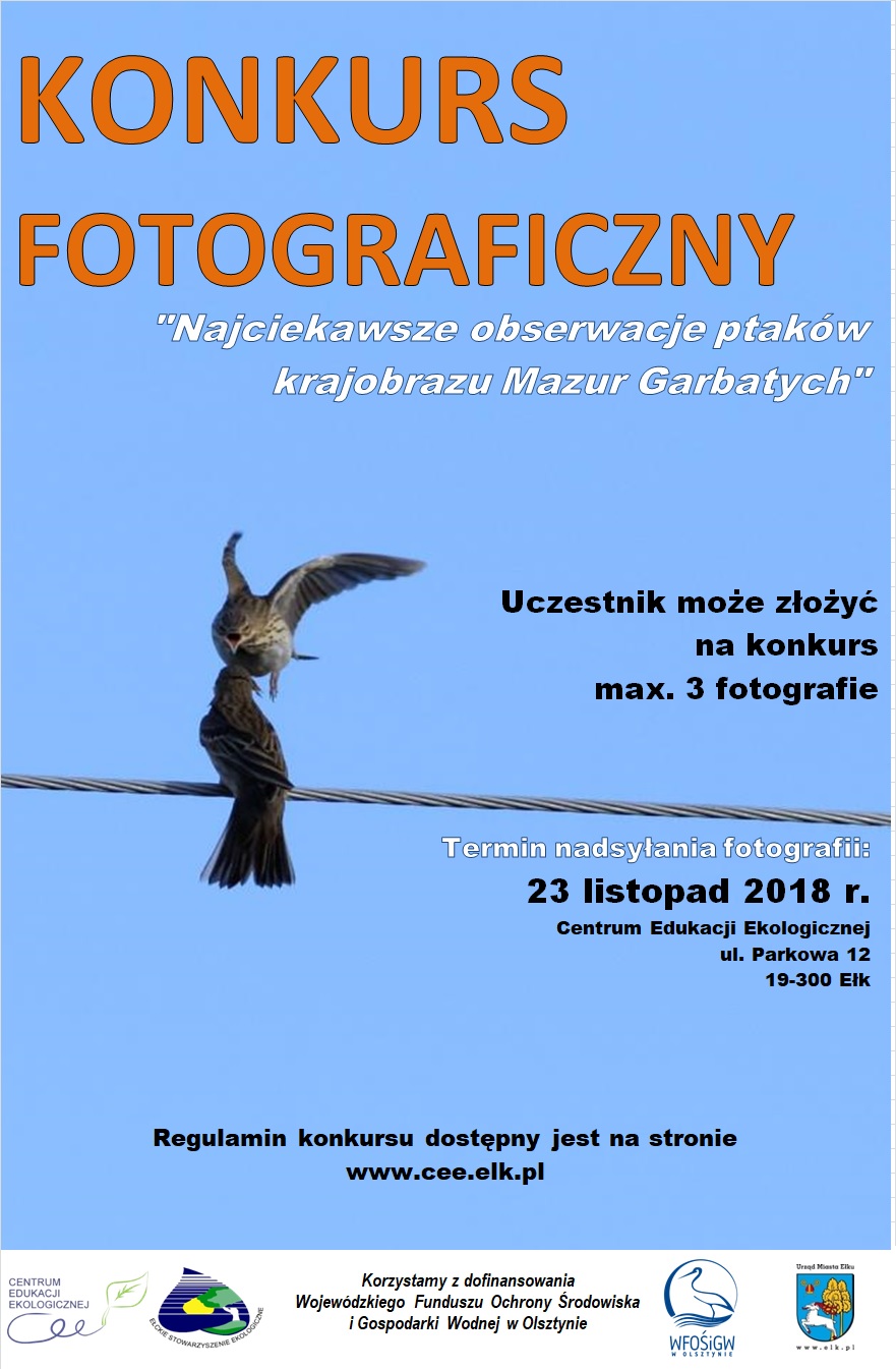 Konkurs fotograficzny.jpg