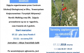 Nordic Walking - Rekreacja w zgodzie z naturą
