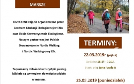 Nordic Walking - rekreacja w zgodzie z naturą