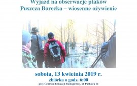 Obserwacje ptaków w Puszczy Boreckiej