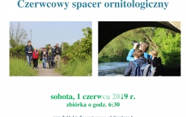 Czerwcowy spacer ornitologiczny