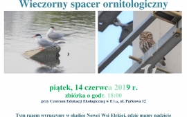 Wieczorny spacer ornitologiczny