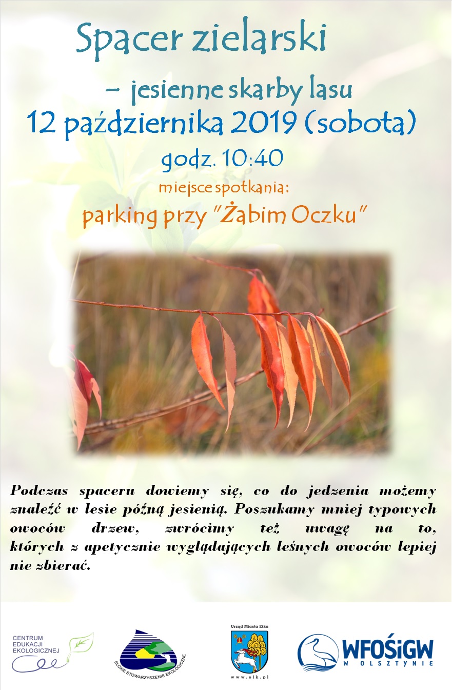 Jesienne skarby lasu.jpg