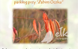 Зельгарські ходи "осінні скарби лісу"