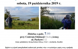 Objazdowe obserwacje ptaków