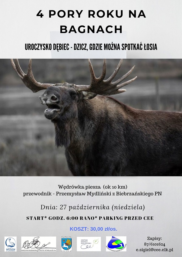 plakat 4 pory roku na bagnach.jpg2.jpg