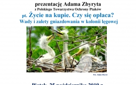 Prezentacja pt. "Życie na kupie. Czy się opłaca? Wady i zalety gniazdowania w kolonii lęgowej"