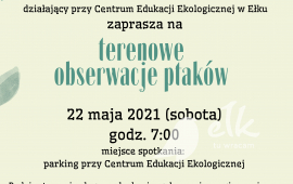 Terenowe obserwacje ptaków