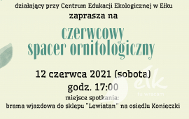 Czerwcowy spacer ornitologiczny