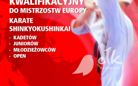 Turniej kwalifikacyjny do Mistrzostw Europy