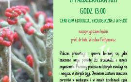 Dziwny świat porostów - spotkanie z prof. dr hab. Wiesławem Fałtynowiczem