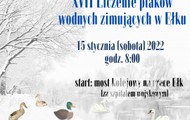 XVII Liczenie ptaków wodnych zimujących w Ełku