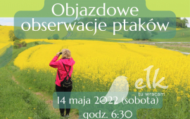 Objazdowe obserwacje ptaków