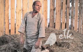 „Szeleszcząca Trawa” - Festiwal "Bez kurtyny"