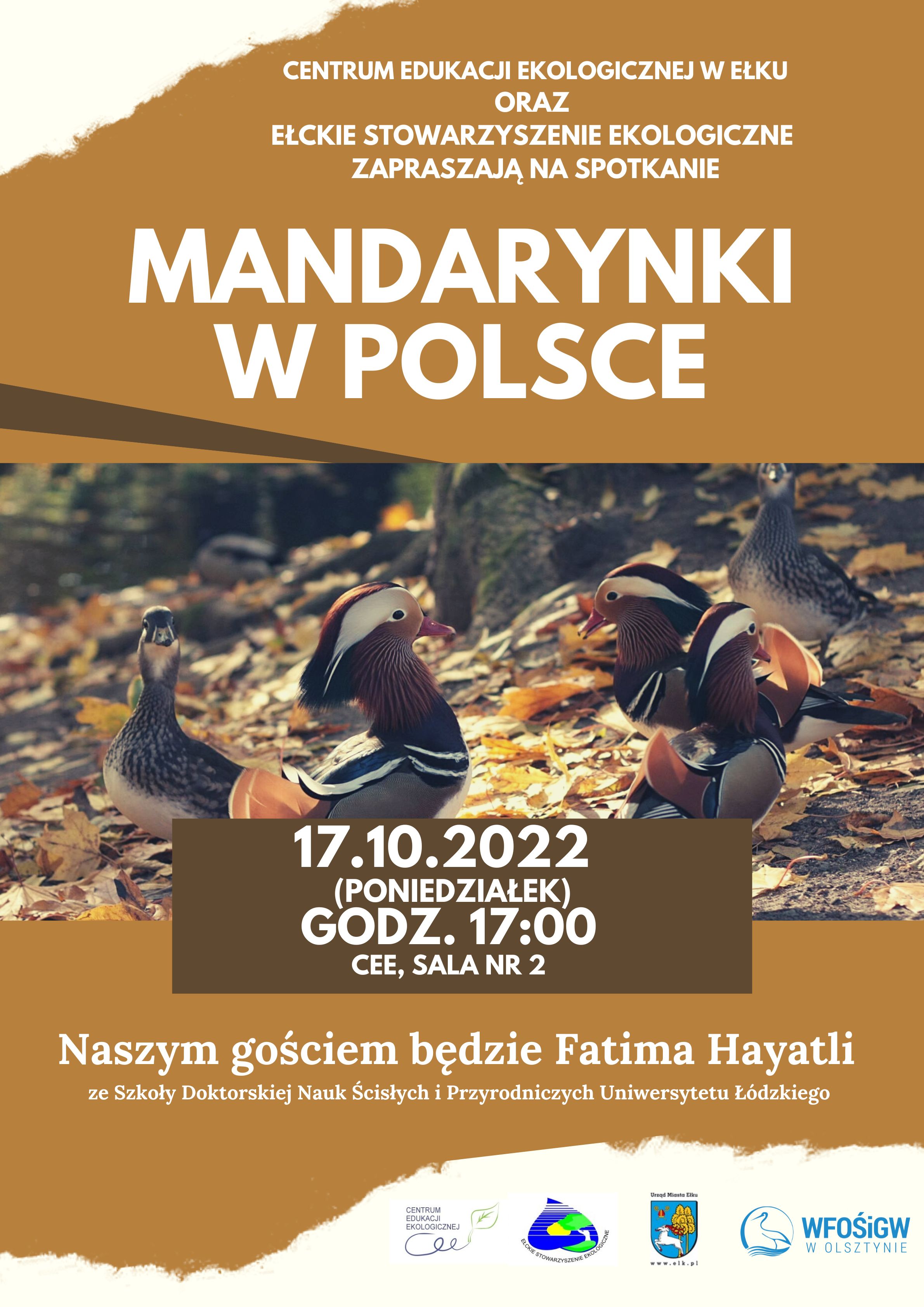 Mandarynki w Polsce.jpg
