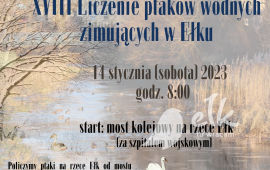 XVIII Liczenie ptaków wodnych zimujących  Ełku