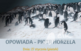 Relacja z podróży - Antarktyka
