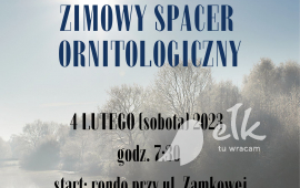 Zimowe obserwacje ptaków