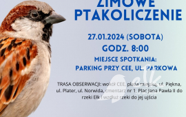 Zimowe Ptakoliczenie