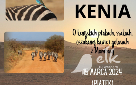 Reisebericht - Kenia