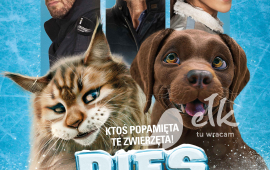 KINO POD GWIAZDAMI "Pies i kot"