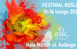 Festiwal roślin
