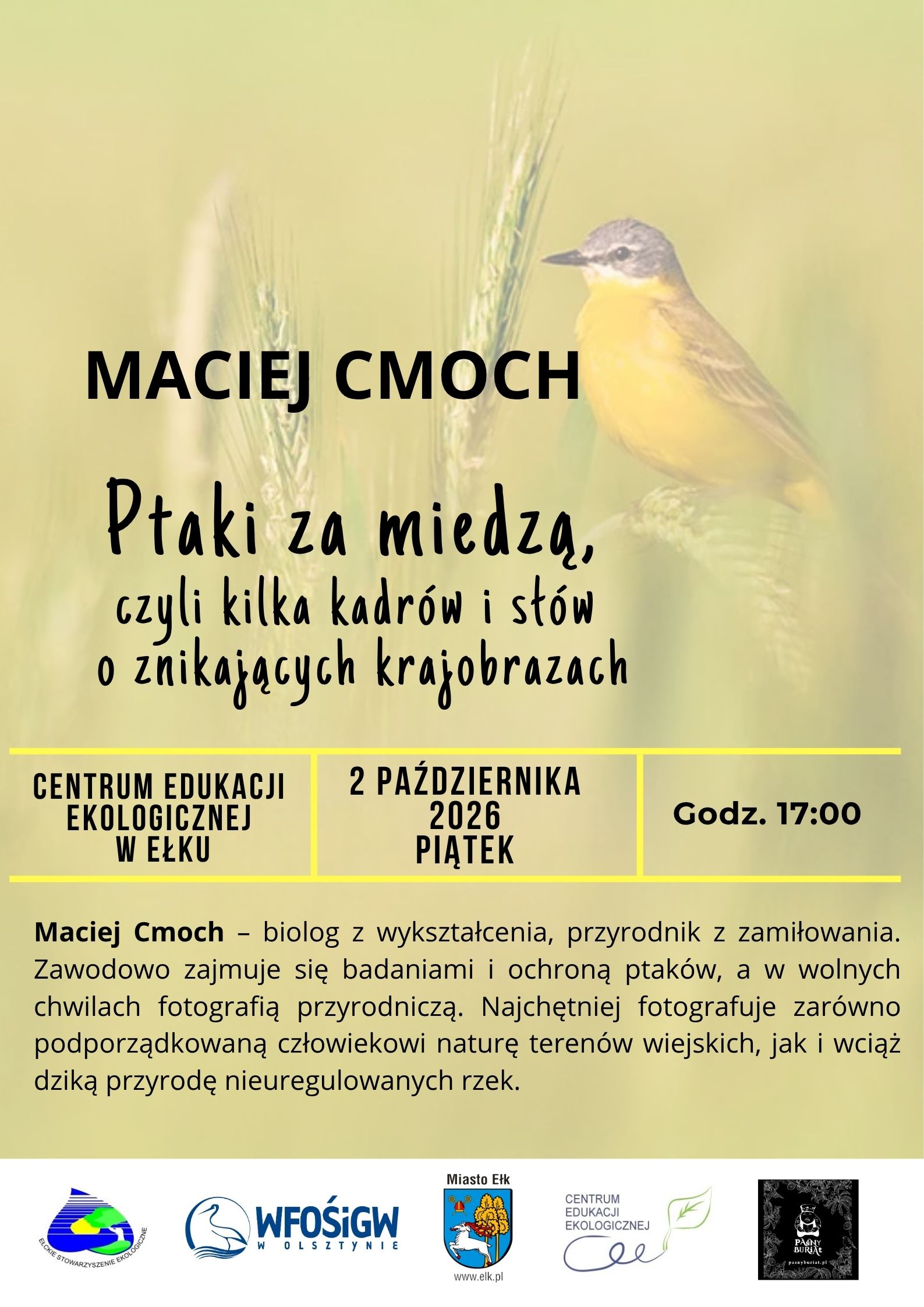 Maciej Cmoch.jpg