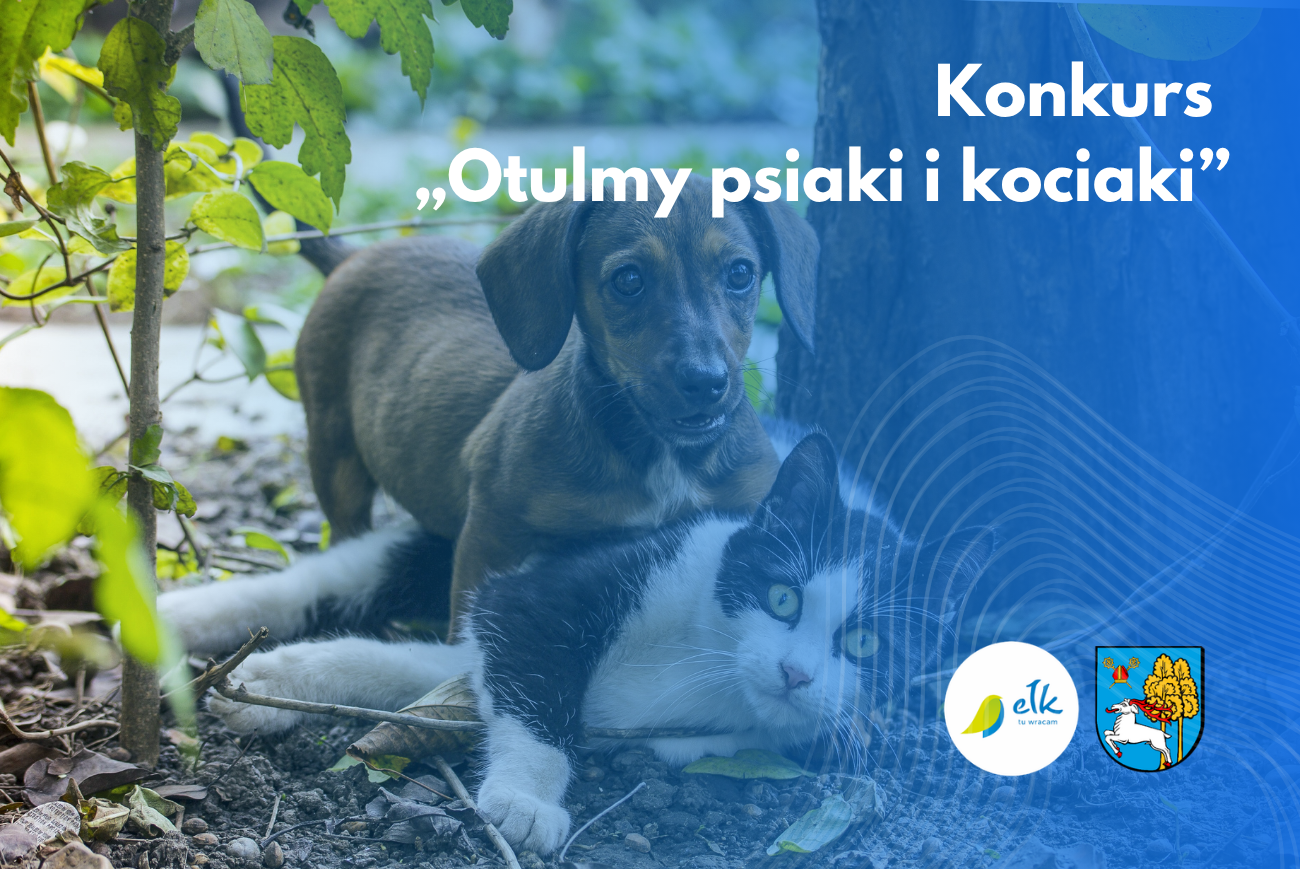 "Užbaikime šunis ir kačiukus" konkursas