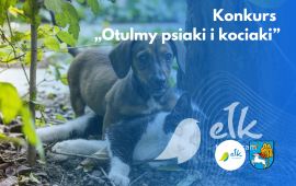Zdjęcie: 0