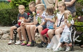Zdjęcie: 12